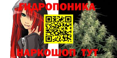 ALPHA PVP Канаш